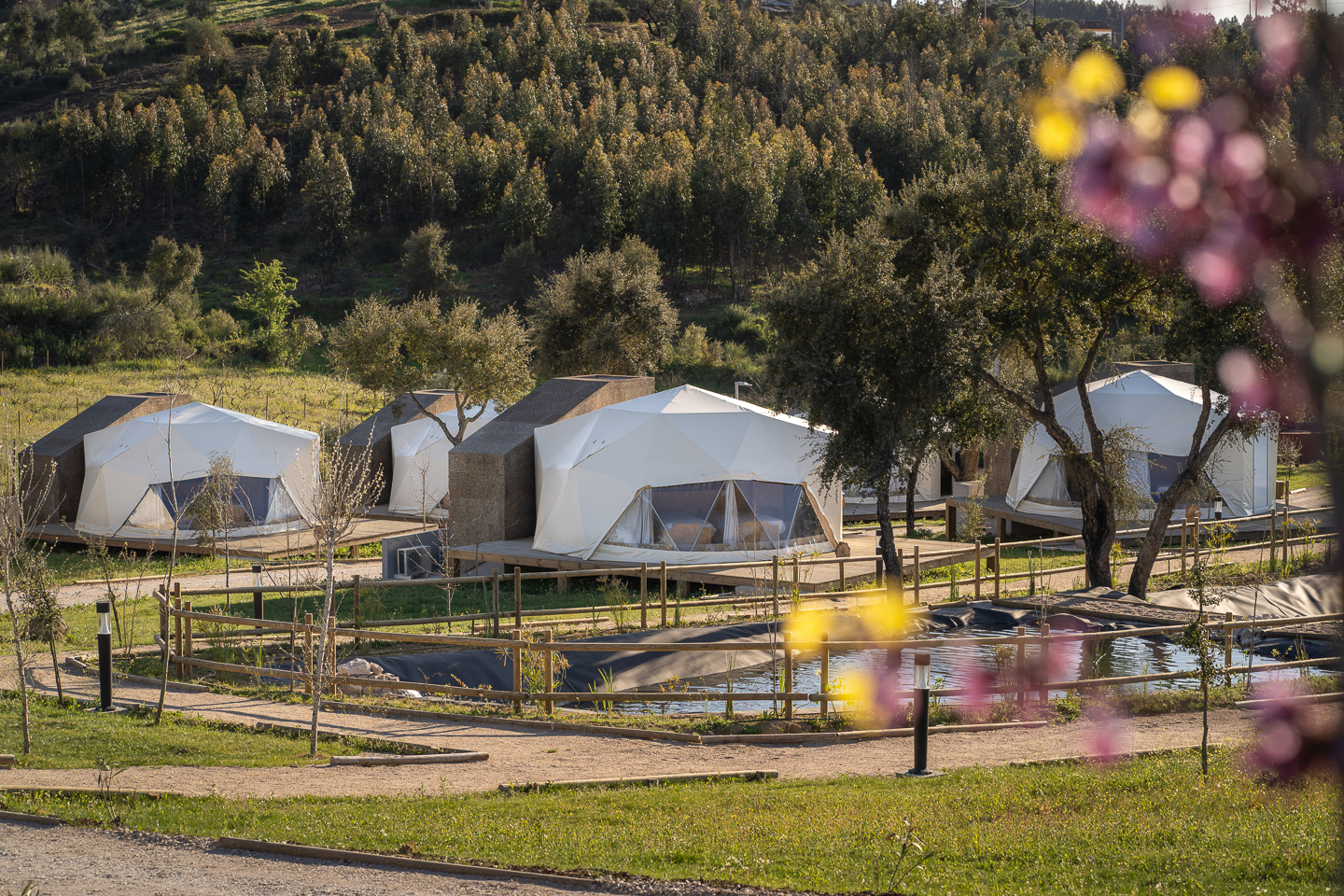 Alojamento glamping integrado na natureza